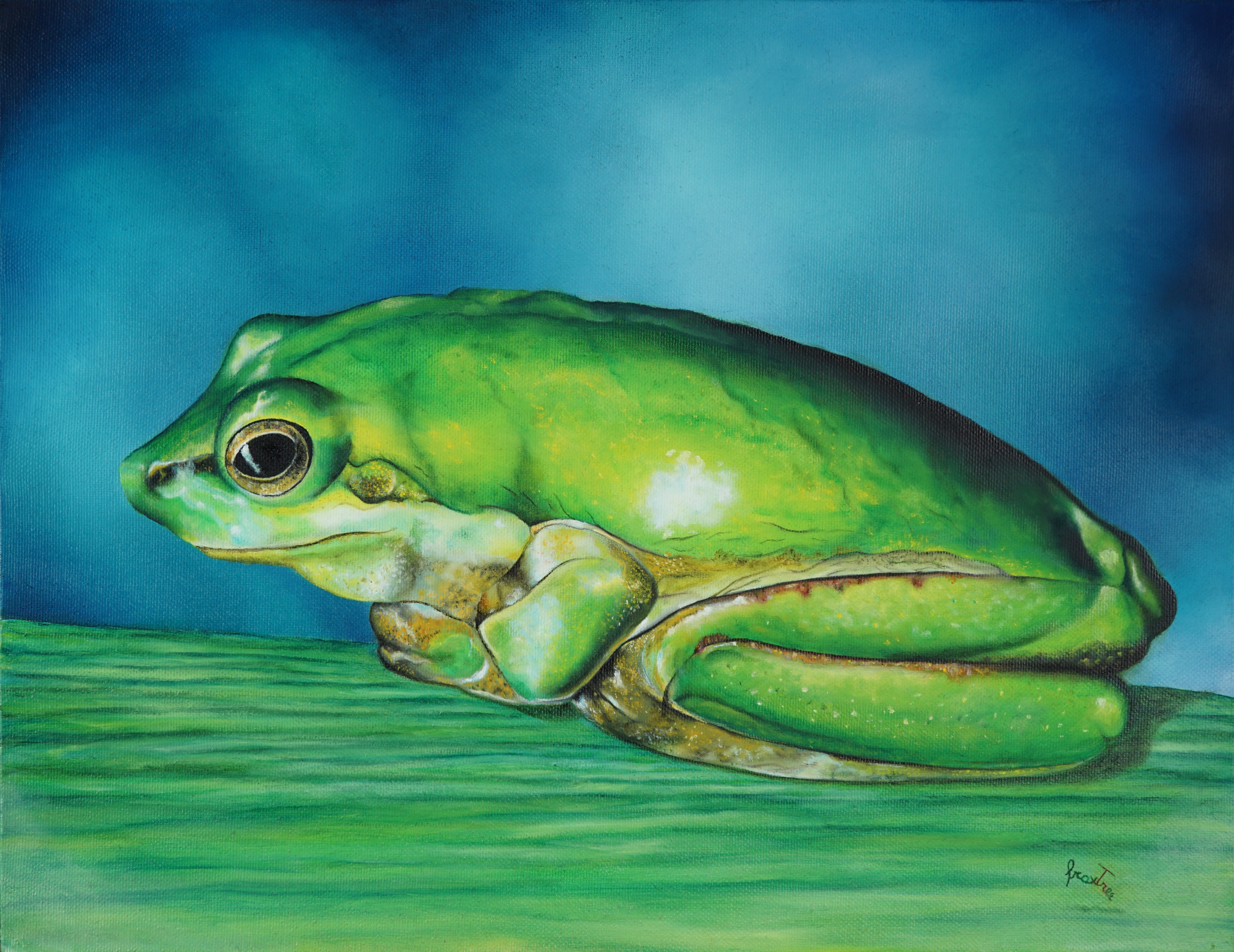 Raganella mediterranea